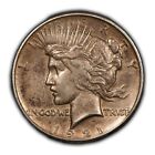 1921 $1 Silver Peace Dollar - Original Patina - High Relief Key Date AU - B4064