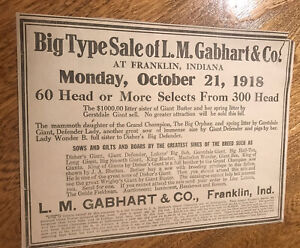 ORIGINAL 1918 Sow Public Sale - Franklin - Indiana - Farm Advertising - Hog Pig
