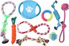 Cotton Dog Knot Rope Toys for Small & Medium Dogs Toy Pack of 10 Puppy Teething