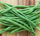 Top Crop Bush Green Beans - Seeds - Non Gmo - Heirloom Seeds – Bean Seeds