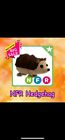 💗SALE! CHEAP PETS!! ADOPT NFR HEDGEHOG! FAST, TRUSTED DELIVERY!💗