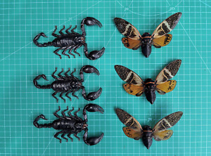 Real 3 Cicadas & 3 Scorpion Collection Dried Insect Taxidermy Art Gothic Decor