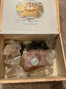 Awesome Rose Quartz rough stone and Crystals Mineral Specimens Lot In Cigar Box