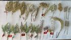 UNBELIEVABLE LOT OF 28 PIECES OF FLORAL DECOR FOR THE HOLIDAY SEASON.