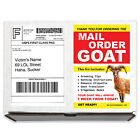 Prank Mail Order Goat Sent Directly to your Friends to Embarrass Them!