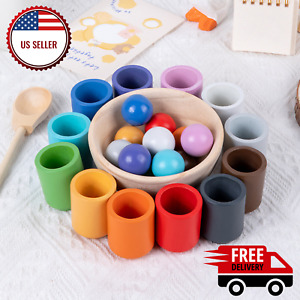 Sorting Rainbow Ball in Cups Toy Color Educational Montessori Kids Sensory Play