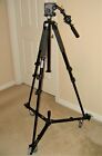 MANFROTTO equip: #3221 Tripod, #501 Head, #3137 Dolly, #521 Remote. Ships FREE.