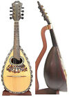 Italy Antique bowlback Mandolin, solid Spruce & Rosewood, OBMLN245