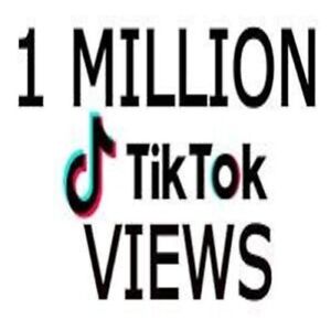 1,000,000 (1M) TikViews WORLDWIDE DELIVERY