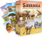 Ecosystem Savanna A Family Card Game About Animals on Grassy Woodland of African