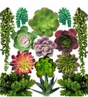 Supla 14 Pcs Artificial Succulents Plants in Bulk Assorted Unpotted Hanging