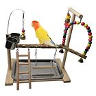 Bird Playground Parrots Play Stand Birdcage Play Stand Play Gym Parakeet