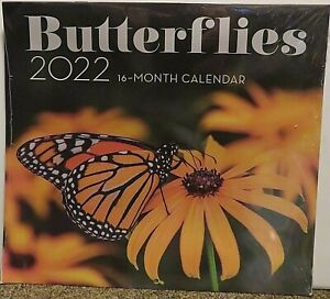 2022 Butterflies 16-Month Calendar 11x10