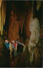 Vintage Frozen Fountain Caverns Of Luray Virginia Postcard B315