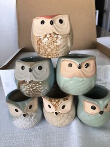 New ListingMini Ceramic Plant Pot Owl Succulent Flower Planter Bonsai Box Home Garden Set 6