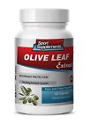 Olive Leaf Capsules - Olive Leaf Extract 500mg - Energy Booster Supplements 1B