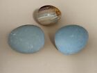 Lot Of 3 Collector Eggs - Blue, Onyx...