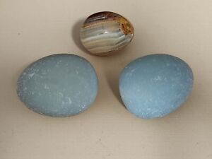 New ListingLot Of 3 Collector Eggs - Blue, Onyx...