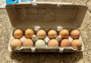 Organic & Fresh Farm Eggs: One Dozen Unwashed