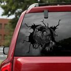 BLACK,Pug decal,Vinyl decal,car decoration,puppy,pet decal,sticker dogs lover
