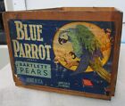 vintage blue parrot pear wood crate box earl fruit company advertising u.s.a.