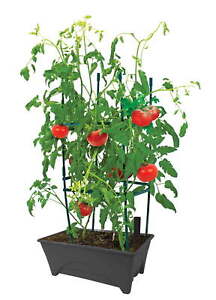 New ListingStart Pickin' Raised Bed Grow Box – Self Watering Plant - Herb Garden