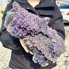 12.56LB Natural purple grape agate quartz crystal granular mineral specimen