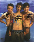 Blink 182 Signed 8x10 Autographed Photo reprint