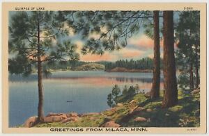 Vintage Postcard Greetings from Milaca, Minnesota