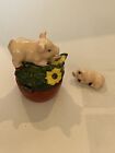 Adorable Pig In Sunflowers With Little Pig Hinged Trinket Box