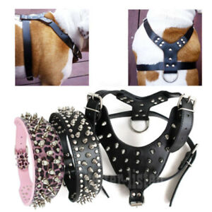 Black Spiked Studded Pure Leather Dog Harness & Collar For Pitbull Bully Boxer