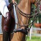 Begners Polo/Riding Knee Guards Genuine Leather Ladies & Kids & Mens All Ages