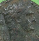 New ListingRoman Provincial ae22 Bronze Coin of Trajan  PALM TREE  Judaea Sepphoris