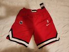 Nike NBA Engineered Therma Flex Shorts - Player Issued (Various)