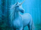 Anne Stokes Fantasy Unicorn print 'Forest Unicorn' UNFRAMED