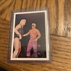 1988 Wonderama NWA Wrestling Card #9 Sting Barry Windham