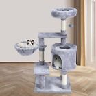 KWOJU Cat Tree 38 Inches for Kittens, Multi-Level Cat Tower with Scratching P...