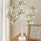 Money Tree 2FT 24LT Timer Gift Card Tree Holder with 12 Clips and 6 Greeting ...