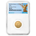2022 Gold Mexican Libertad Onza 1/10 oz NGC MS70 FDI Mexico Label