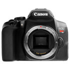 Canon EOS Rebel T8i DSLR Camera (Body) 3924C001