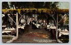 Dining Under The Old Pepper Tree Casa Verdugo California Vintage Postcard 1703
