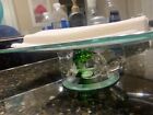 Clear Glass Plate on Green Turtle Base