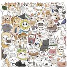 Cute Cat Vinyl Stickers - 15 Random Pieces