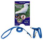 Premier Feather Tether Bird Harness and Leash SMALL ROYAL BLUE for Cockatiels