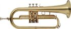 Stagg Brass Flugelhorn Trumpet w/ Silver Plated Mouthpiece & Case