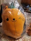 Squishmallow 12” Cam The Pumpkin Cat Select Series Mallow Mash NWT *SHIPS TODAY*