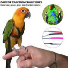 Pet Parrot Bird Harness Lead Leash Flying Training Rope Cockatiel Outdoor W4 US