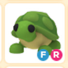 FR Turtle | PET NEW 2024 | ADOPT from Me | Legendary Pet - Fast Delivery!!