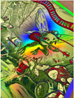 Les Claypool Frog Brigade RAINBOW FOIL Poster Tampa FL June 20 2023 AP #/45