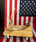 Deer Antlers Mounted On All Natural woods Great To Display Decor